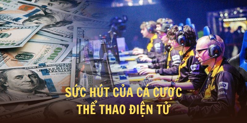 Cá cược thể thao điện tử có sức hút lớn ở thời điểm hiện tại